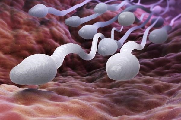 美国综合排名前列的辅助生殖中心分享会实录(上)