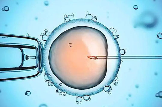 问及她为何选择走上代孕这条道路时